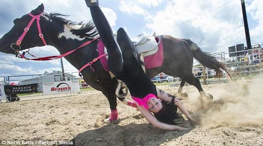 Naked sluts bull riding flash fest image