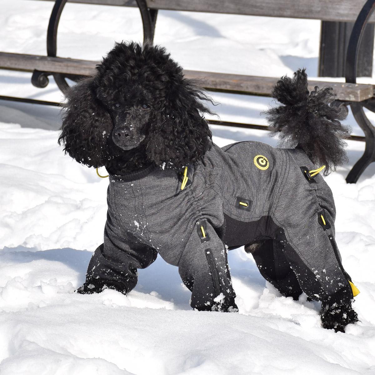 Zippy Dynamics Cozy Full-Body Dog Suit