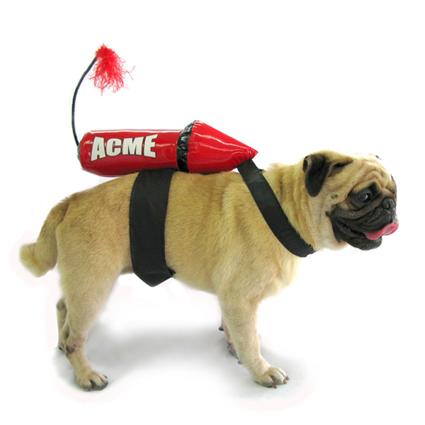 Puppe Love Acme Rocket Dog Costume