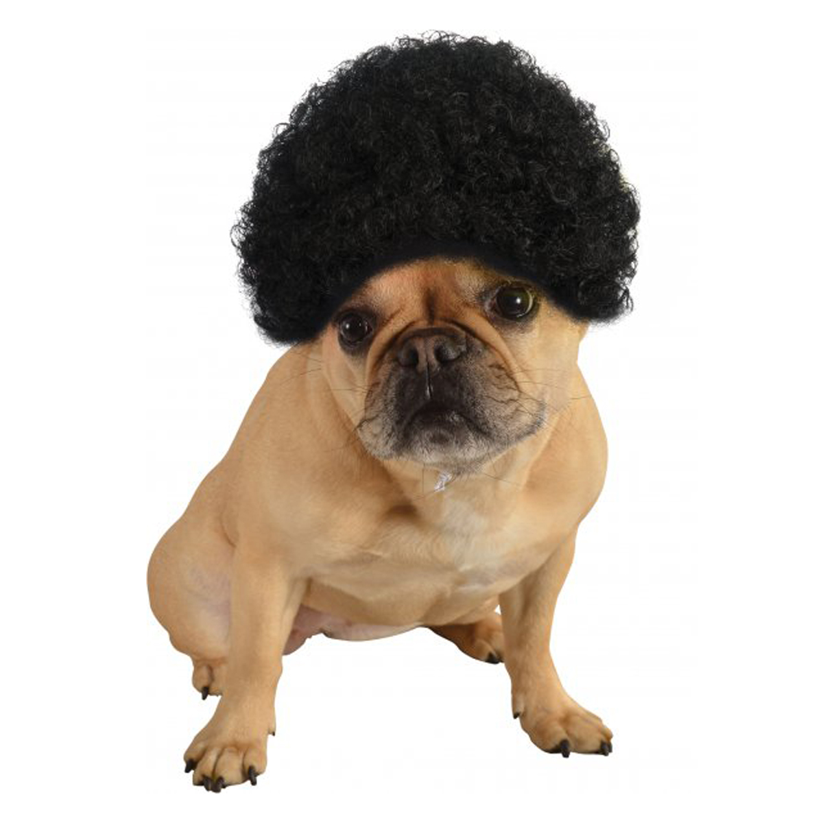 Afro Wig Dog Costume - Black