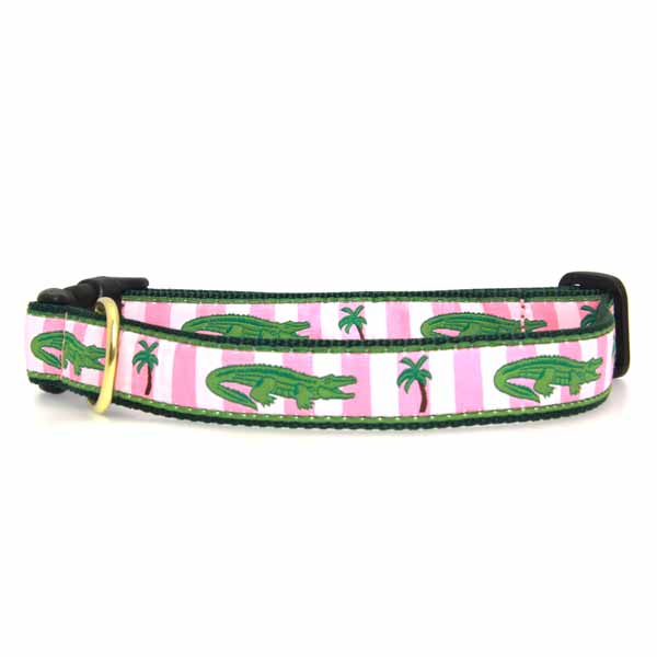 Alligator Dog Collar by Up Country
