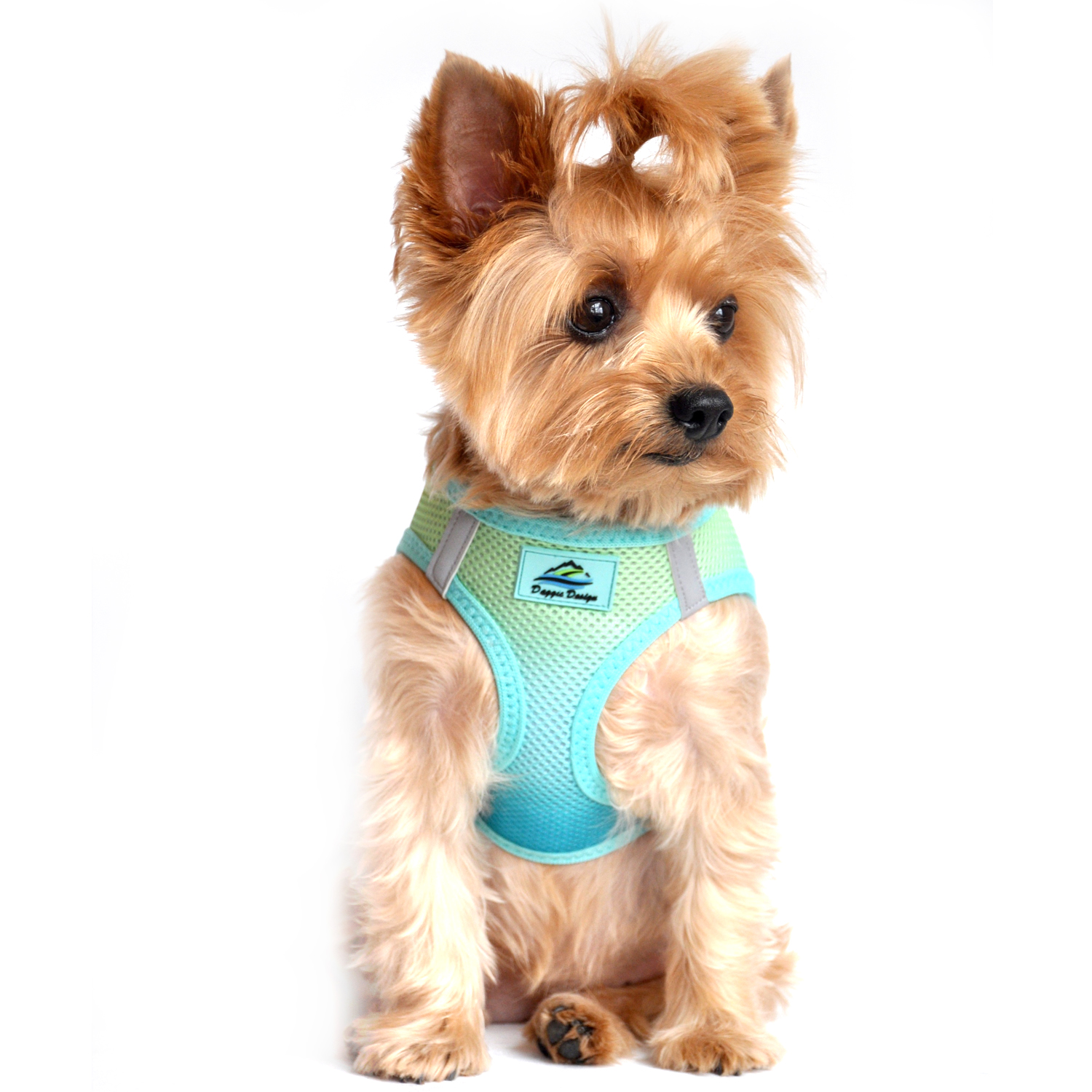 American River Choke-Free Dog Harness by Doggie Design - Aruba Blue Ombre