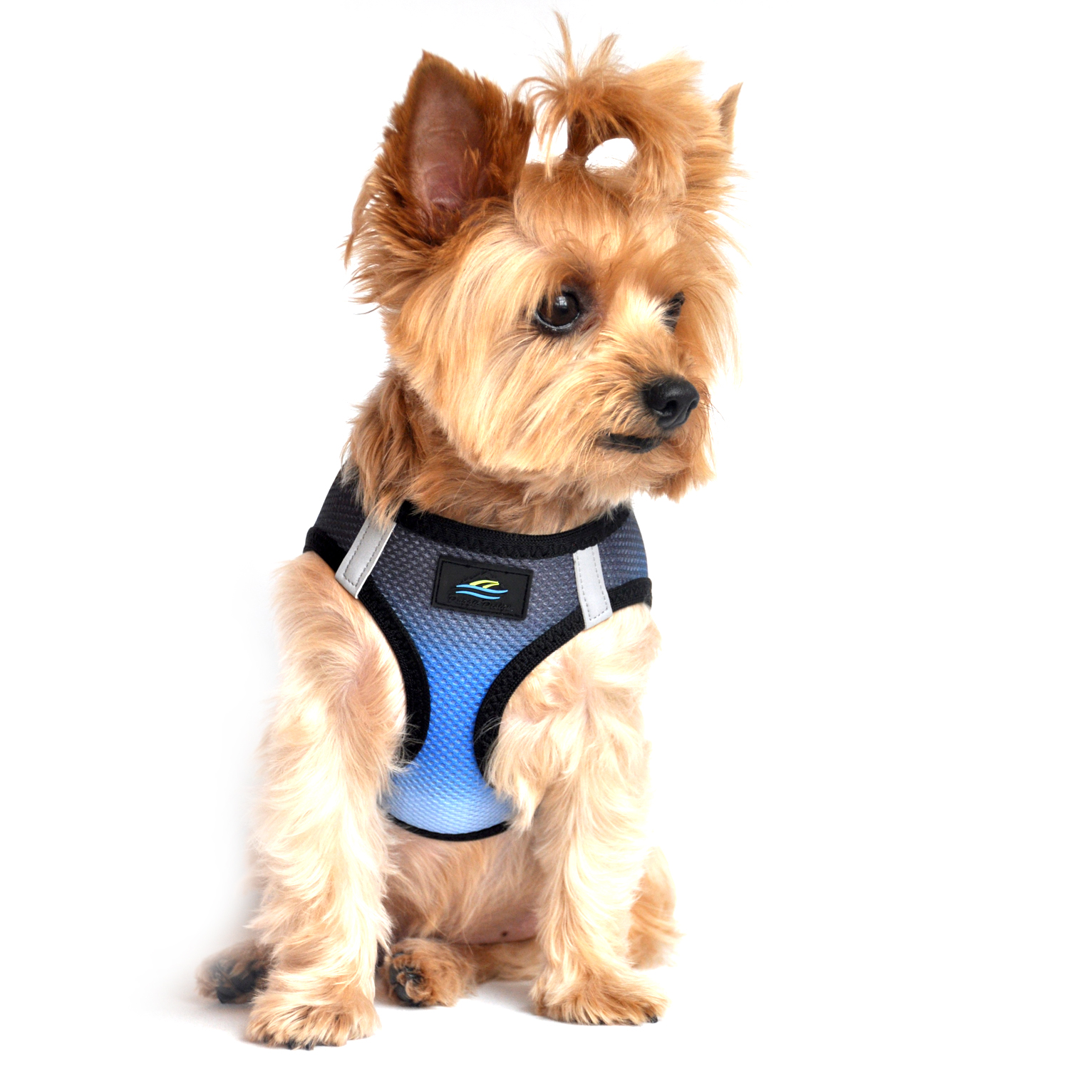 American River Choke-Free Dog Harness by Doggie Design - Midnight Sky Ombre