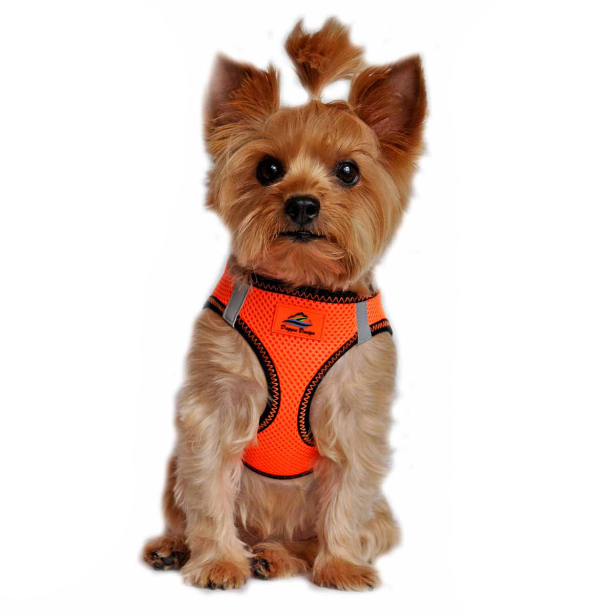 American River Top Stitch Dog Harness by Doggie Design - Iridescent Orange