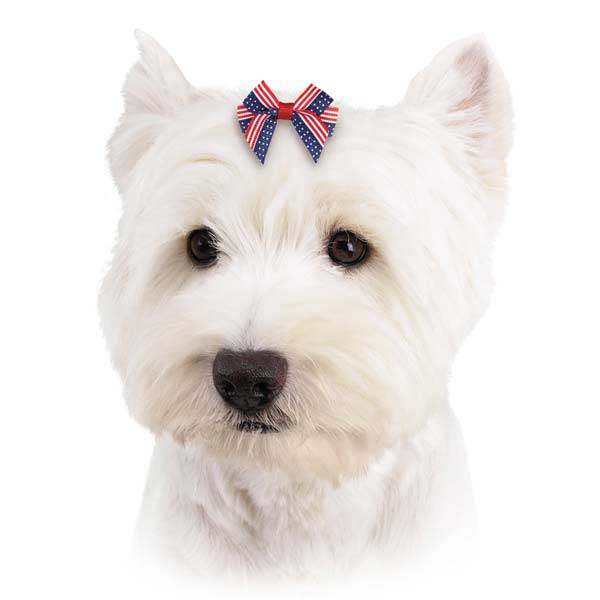 Aria America's Pup Dog Bow 