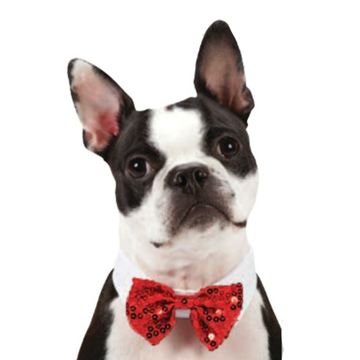 Aria Canine Royale Bowtie - Red Sequin