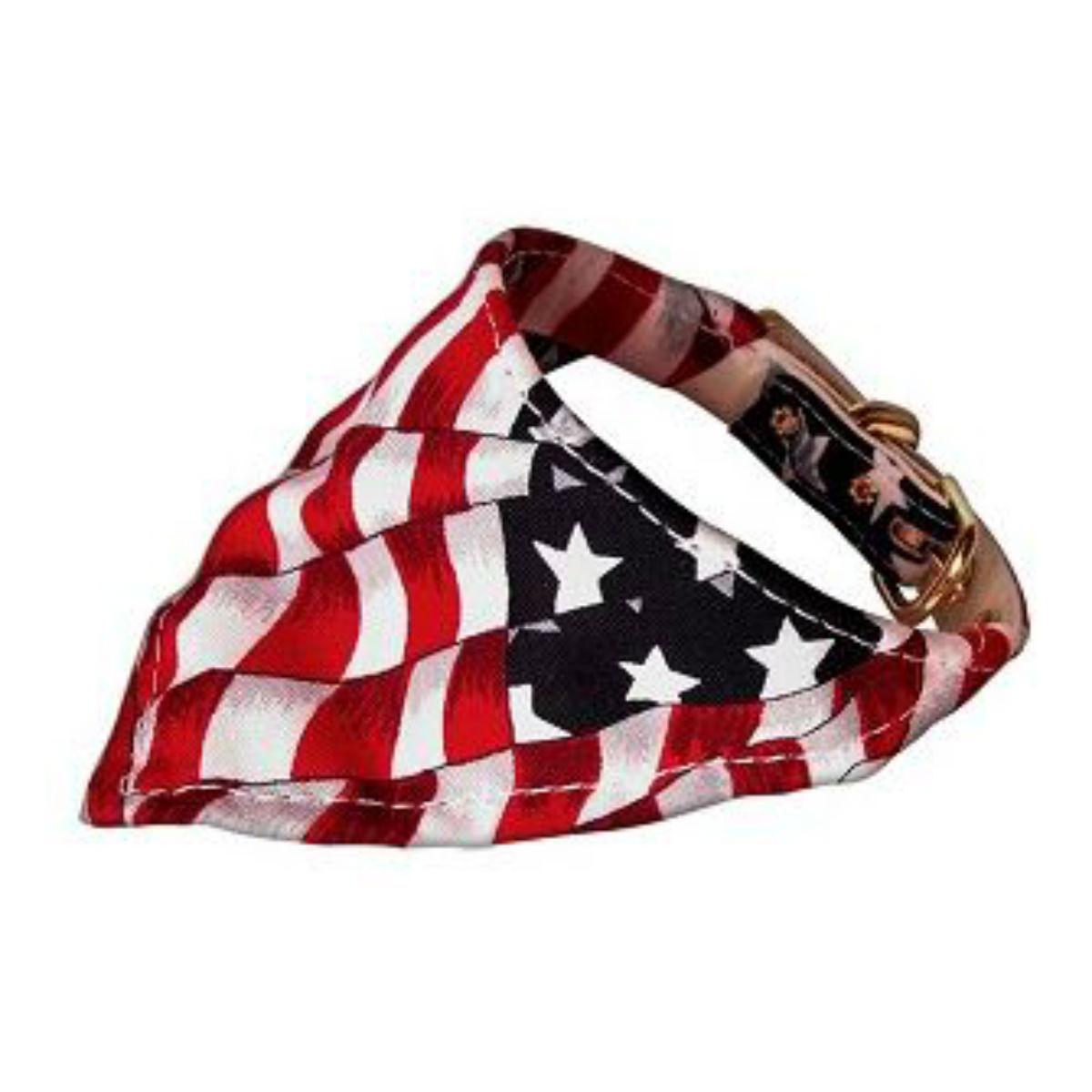 Bandana Dog Collar - America the Beautiful