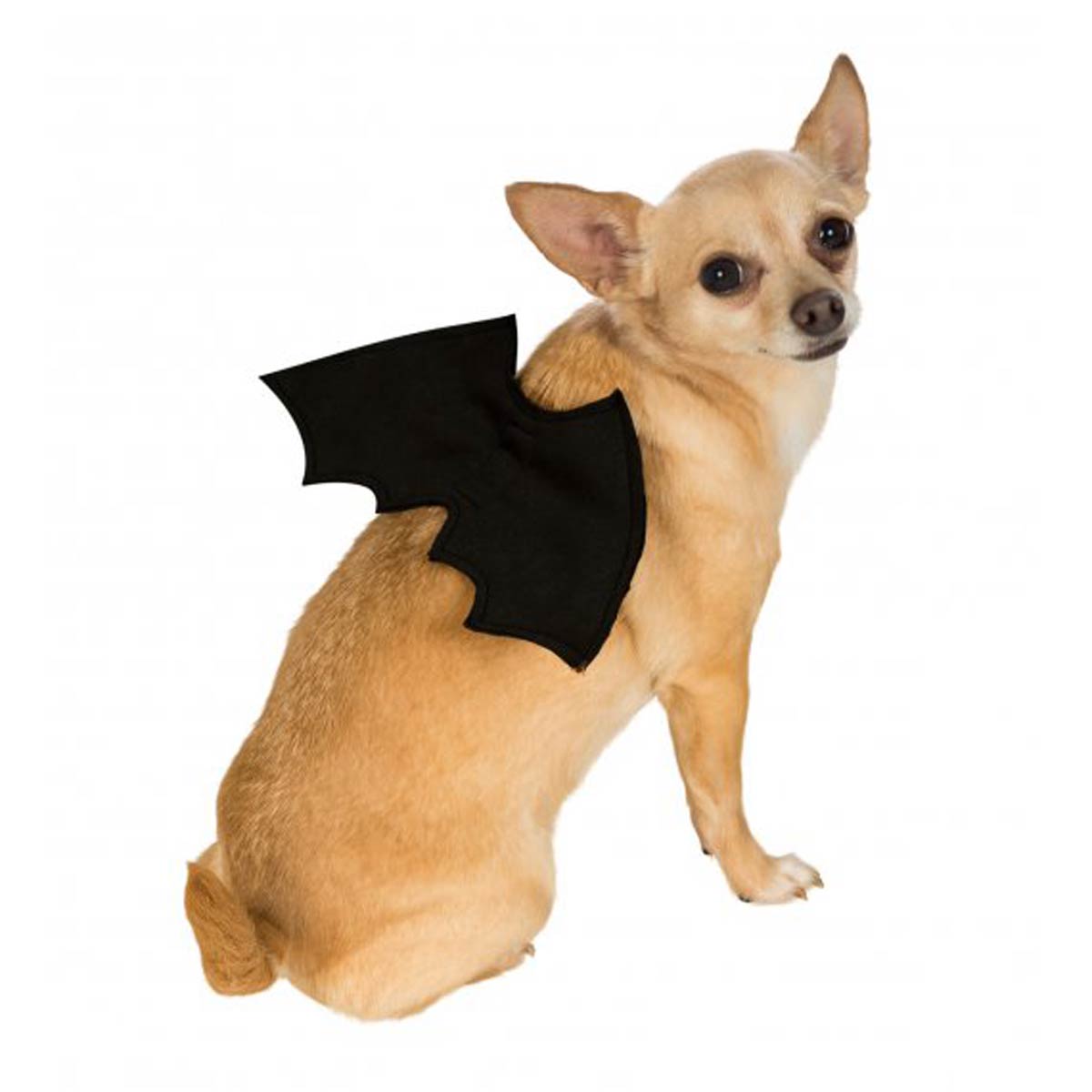 Bat Wings Dog Costume - Black