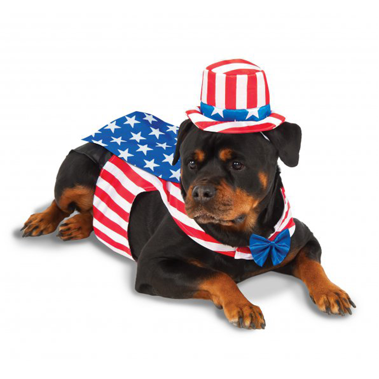 Big Dog Uncle Sam Dog Costume