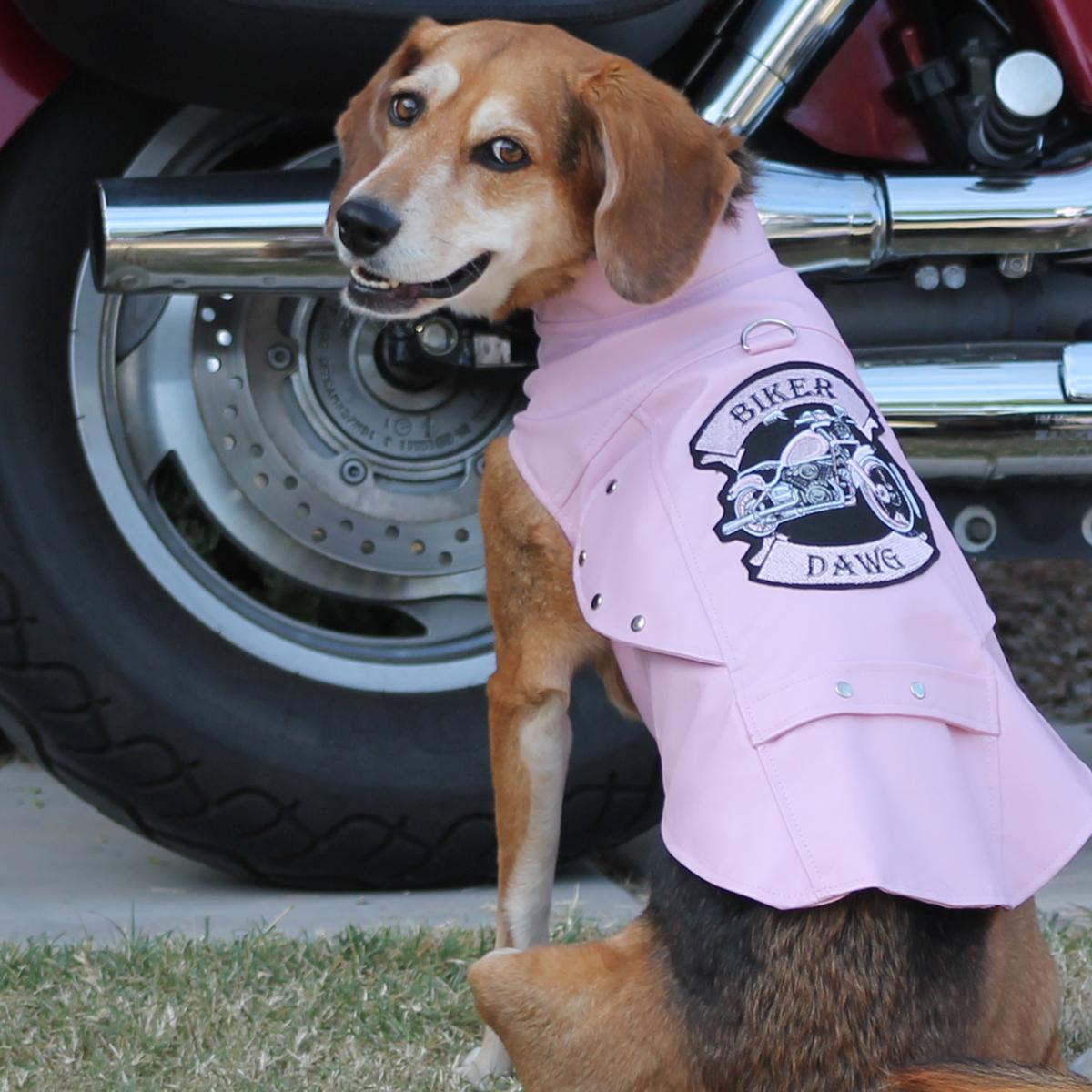 Biker Dawg Motorcycle Dog Jacket by Doggie Design - Pink