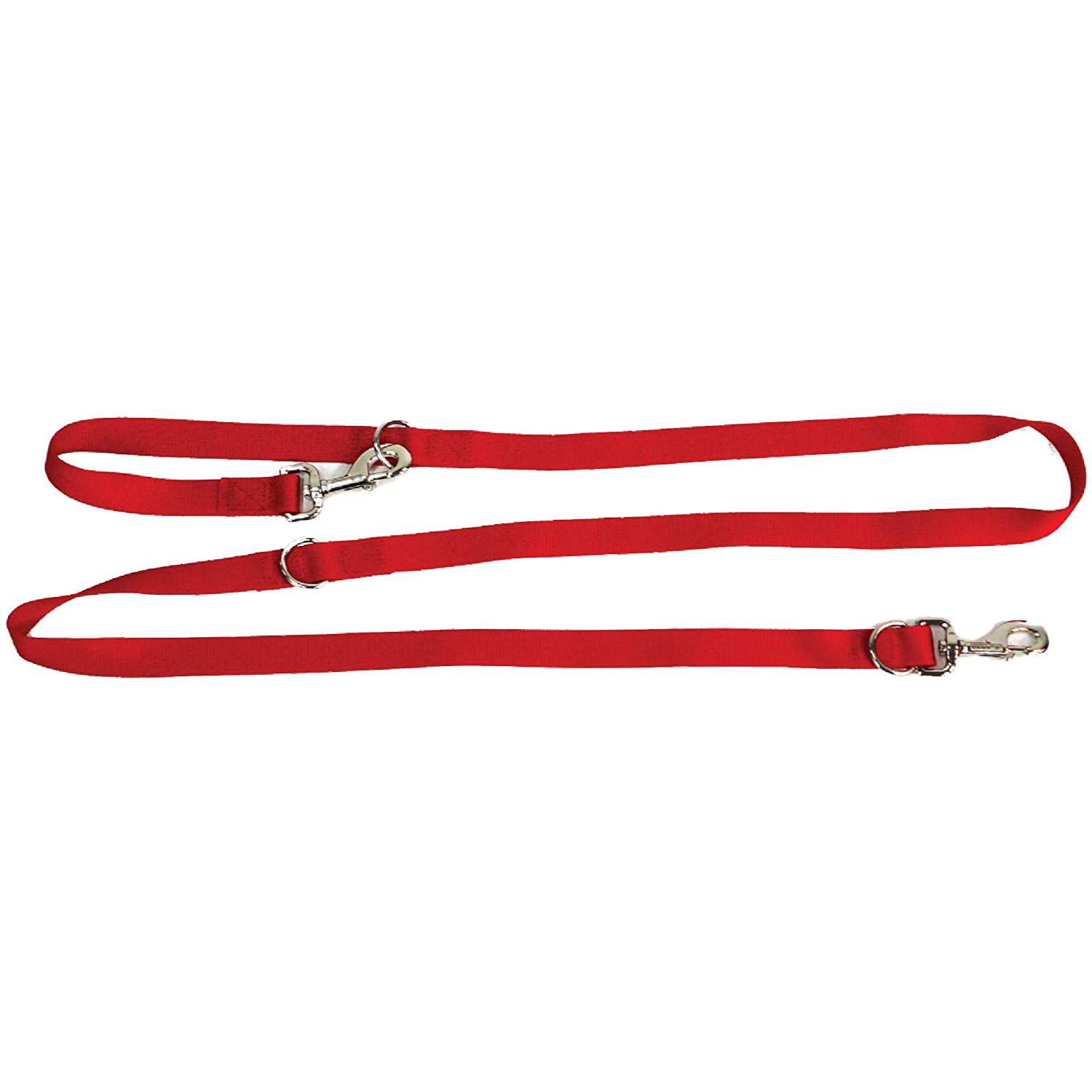 Blue-9 Multi-Function Leash - Red