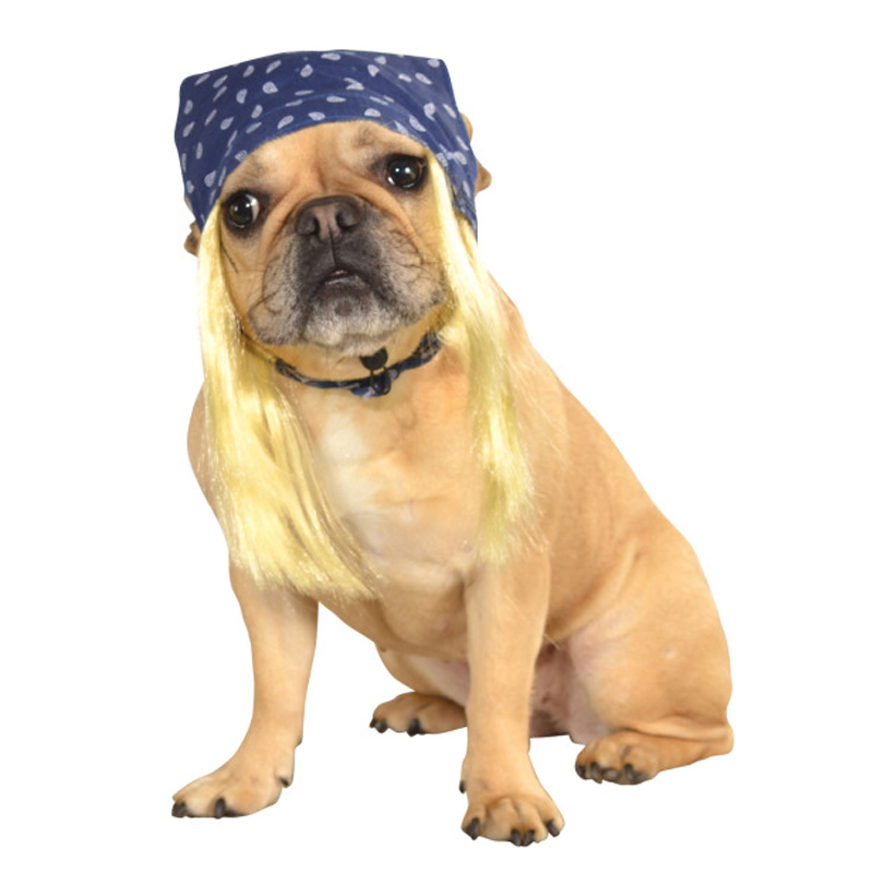 Blue Bandana with Hair Dog Costume
