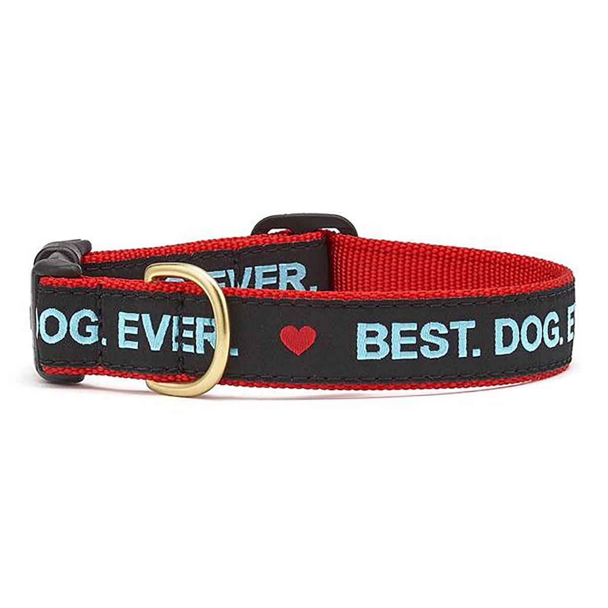 Best. Dog. Ever. Dog Collar by Up Country