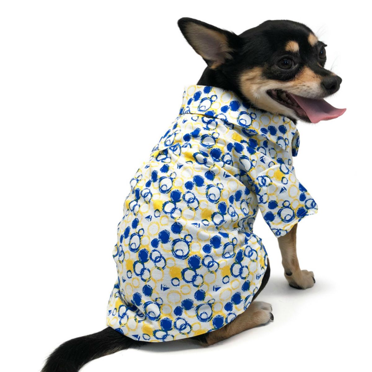 Bubble Collared Dog Shirt by Dogo