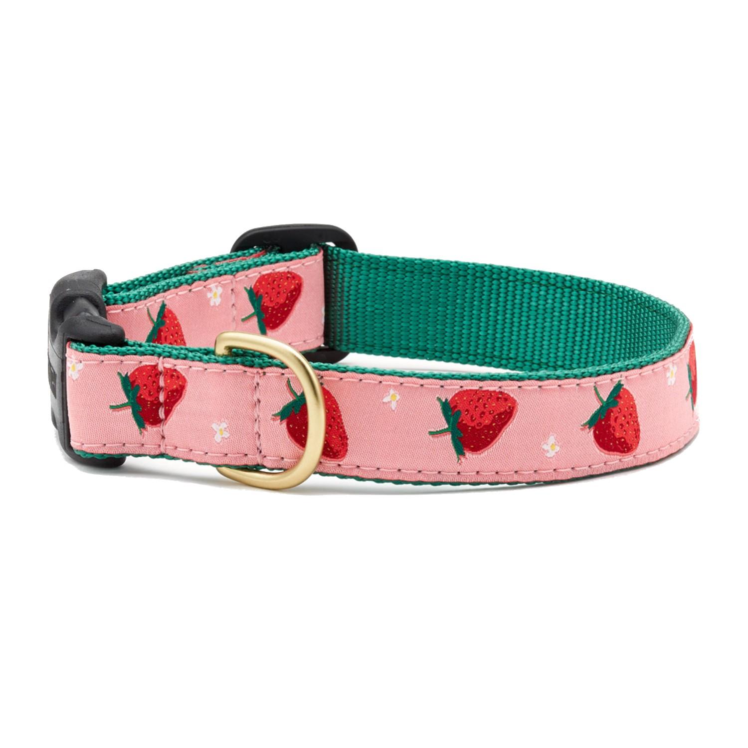 Strawberry Fields Dog Collar by Up Country