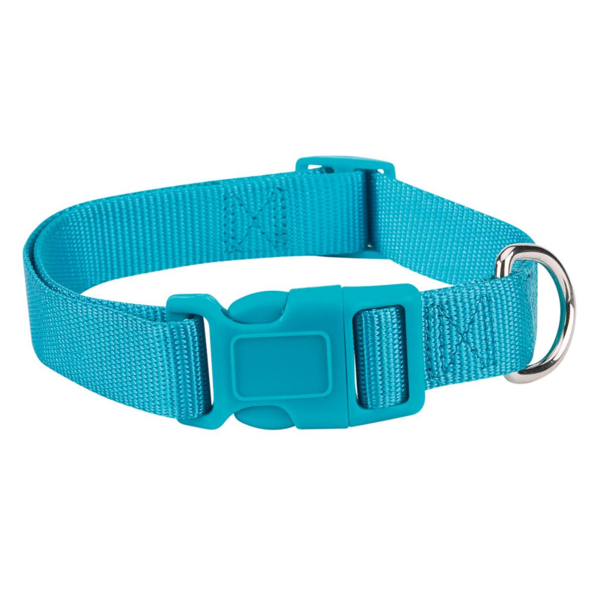 Casual Canine Nylon Dog Collar - Bluebird