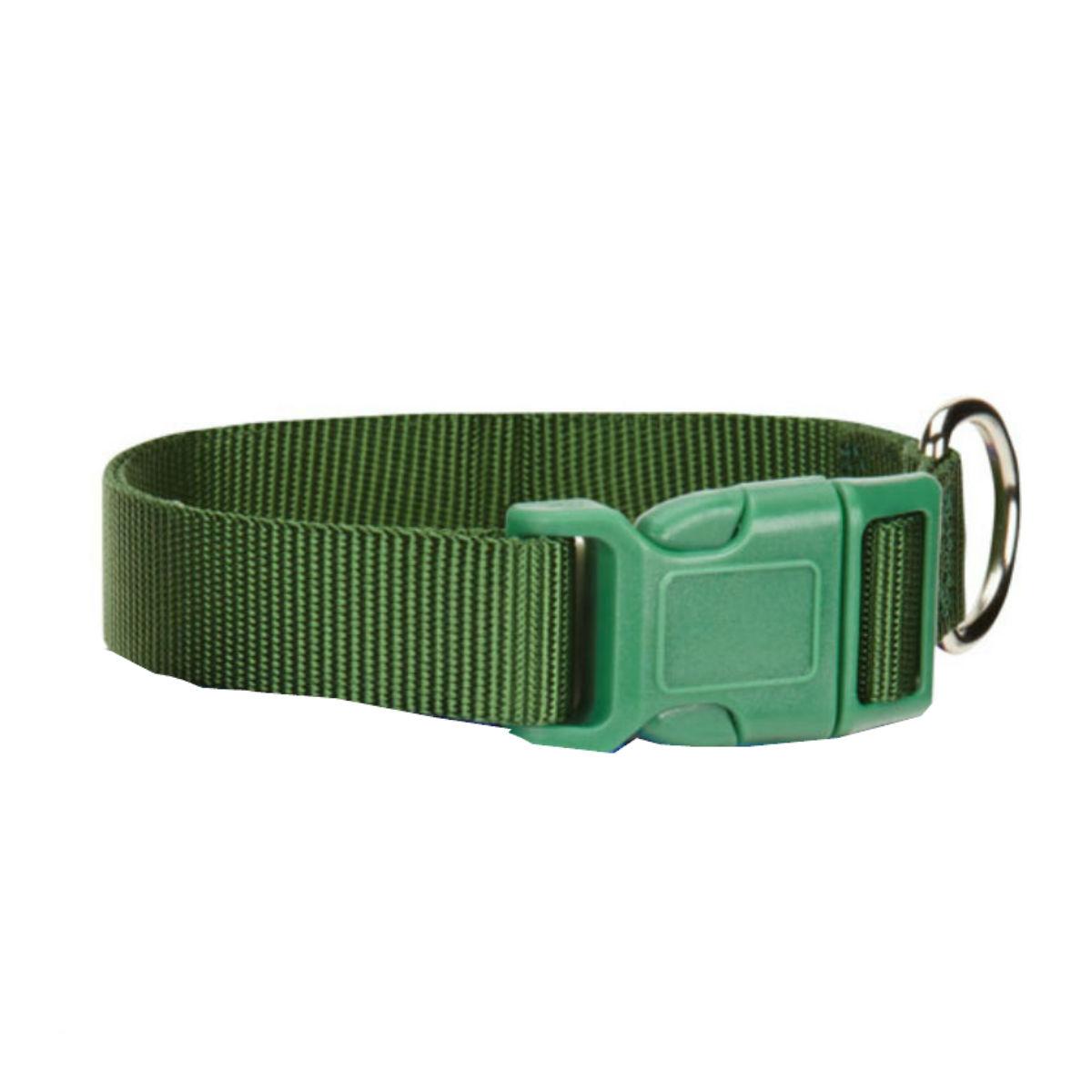 Casual Canine Nylon Dog Collar - Green