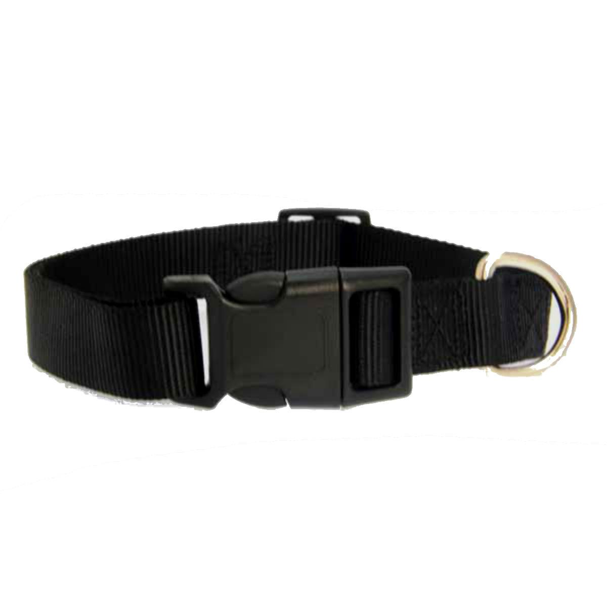 Casual Canine Nylon Dog Collar - Jet Black