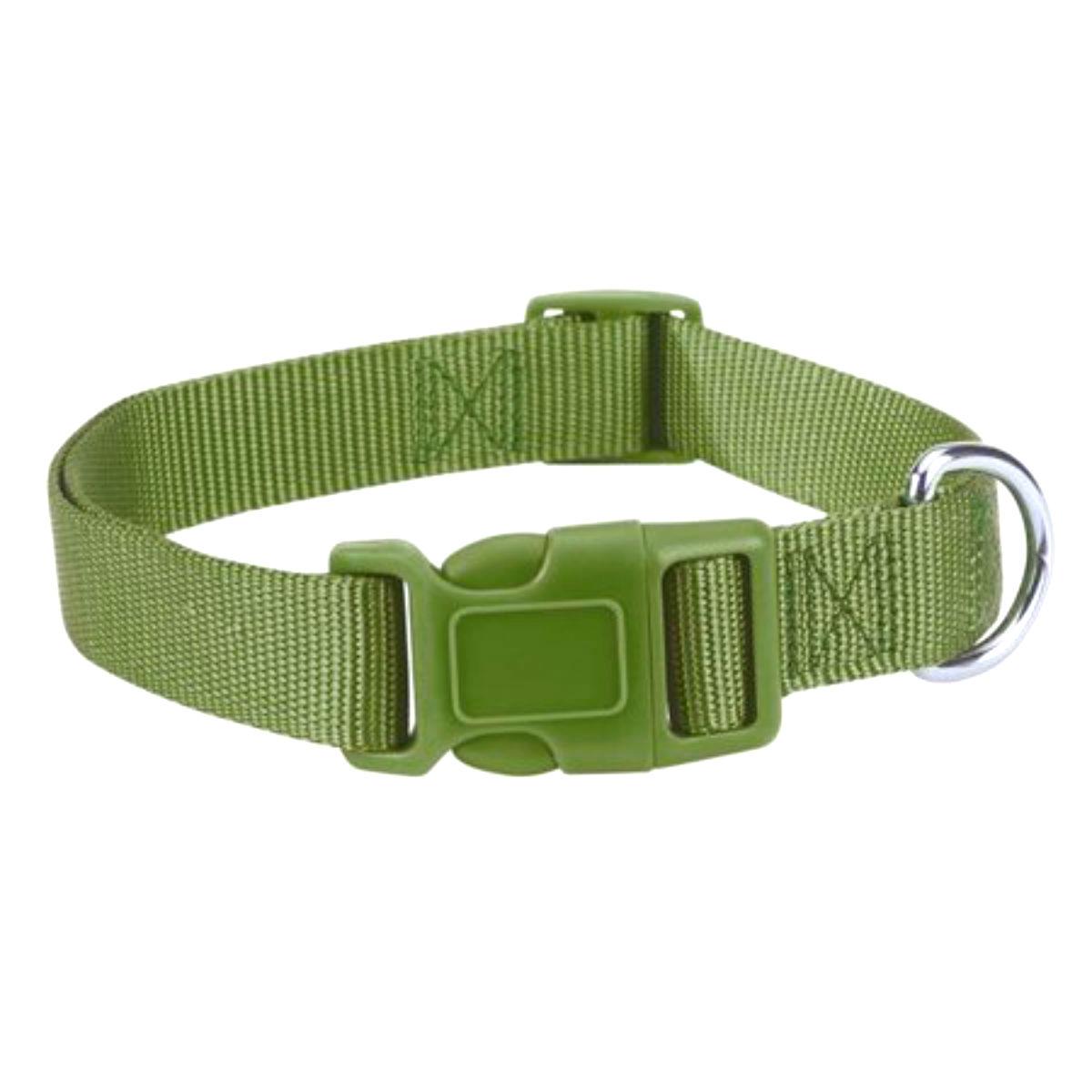 Casual Canine Nylon Dog Collar - Parrot Green