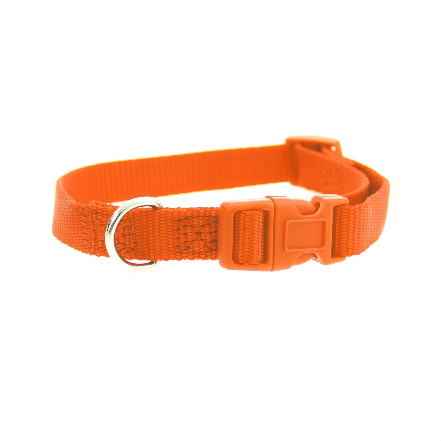 Casual Canine Nylon Dog Collar - Orange
