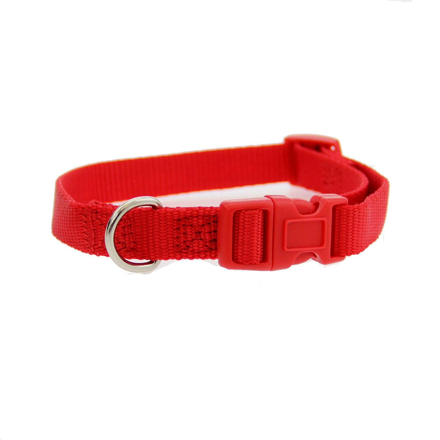 Casual Canine Nylon Dog Collar - Tomato Red