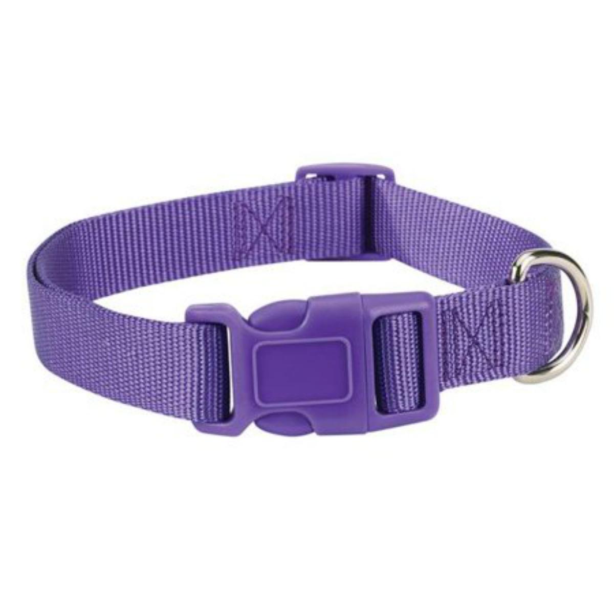 Casual Canine Nylon Dog Collar - Ultra Violet