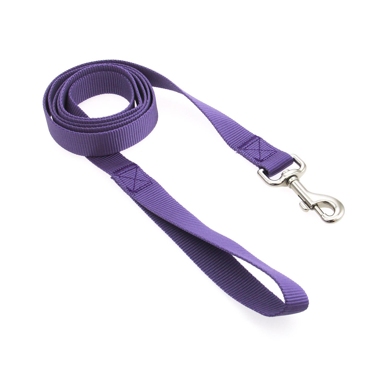 Casual Canine Nylon Dog Leash - Ultra Violet