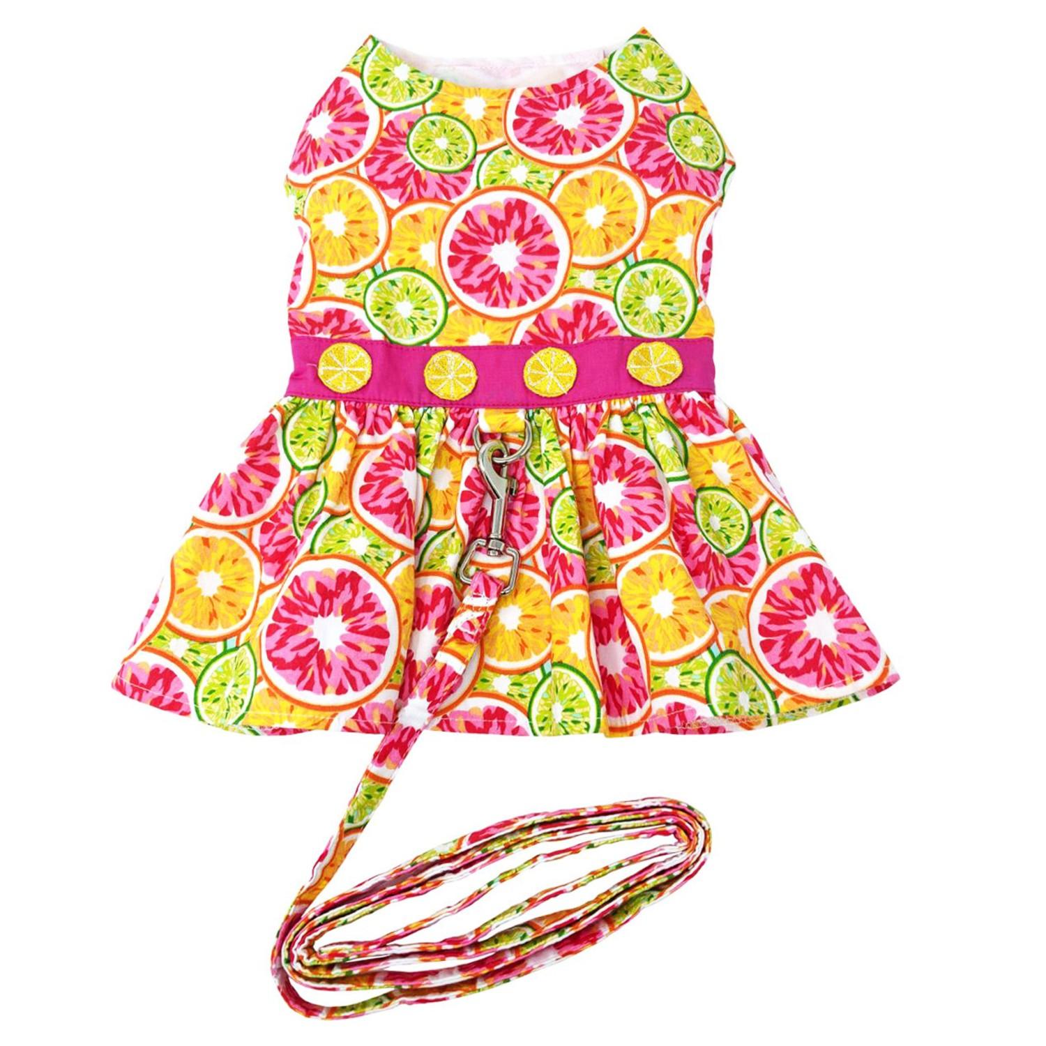 Citrus Slice Dog Harness Dress with Leash by Doggie Design