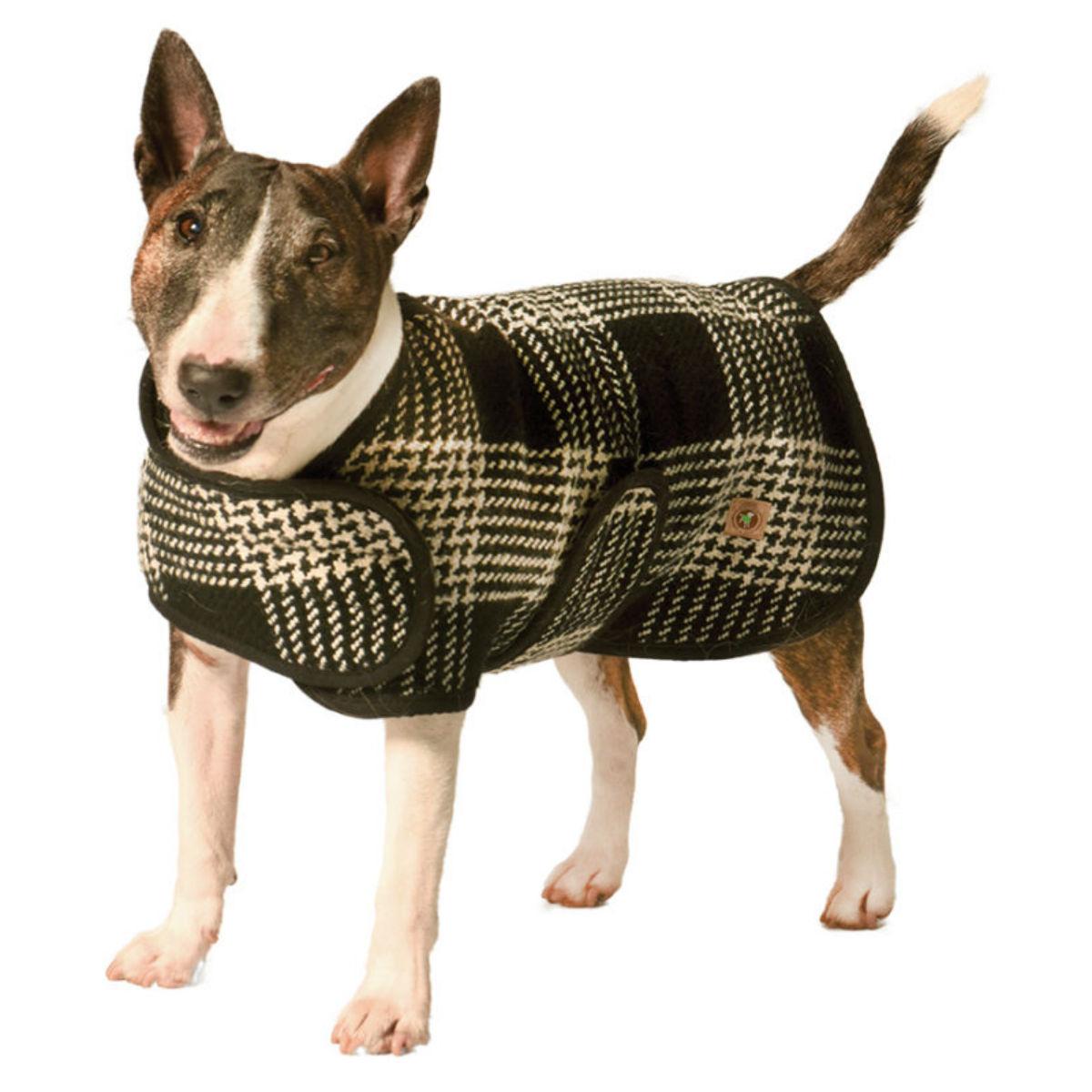 Chilly Dog Plaid Blanket Dog Coat - Black and White