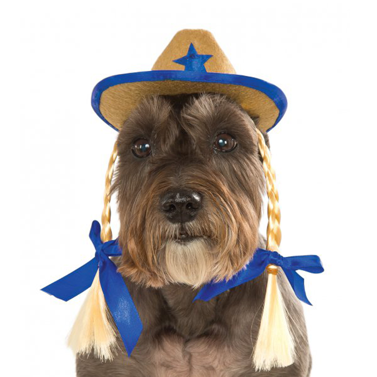 Cowgirl Hat Dog Costume with Braids