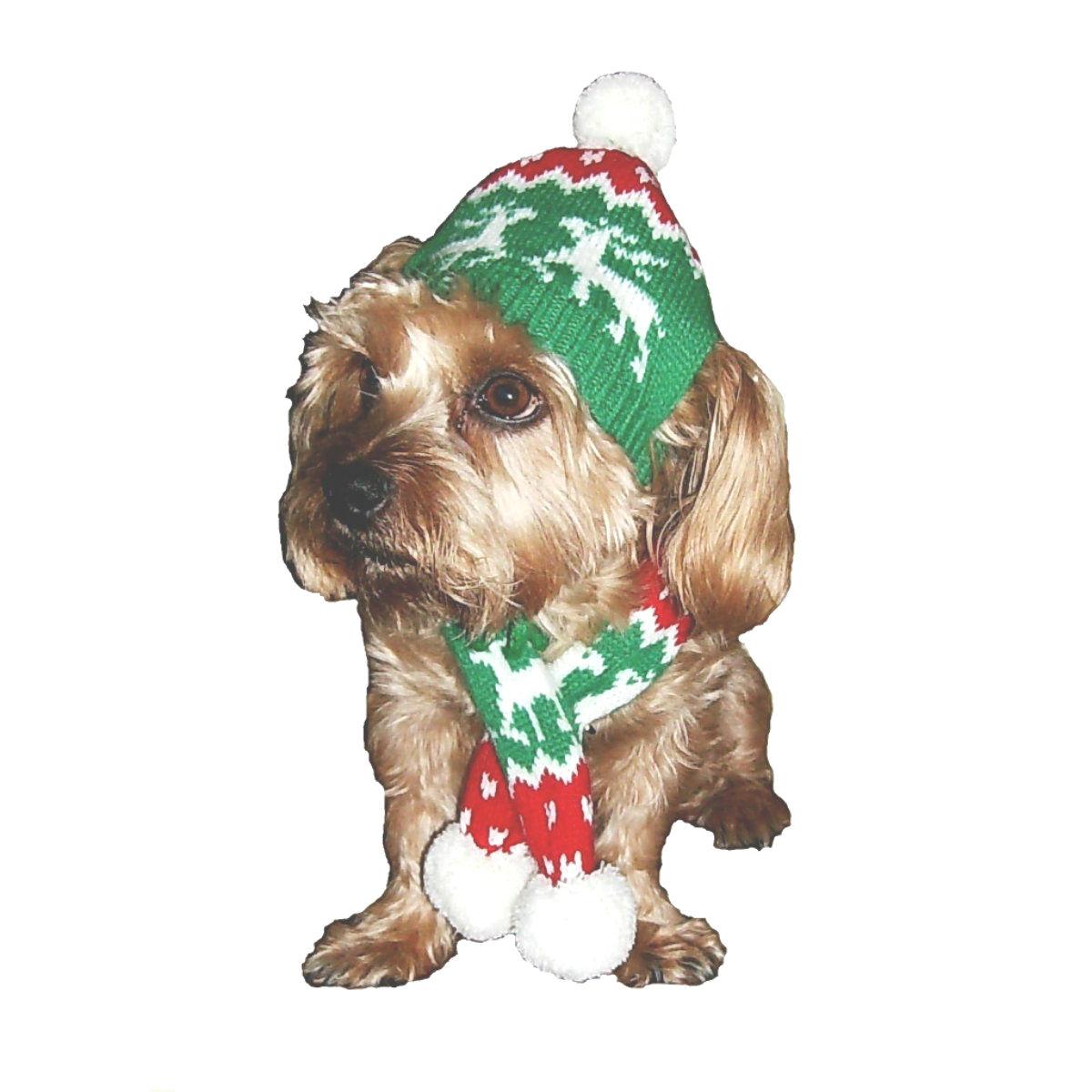 Dallas Dogs Holiday Reindeer Dog Hat and Scarf