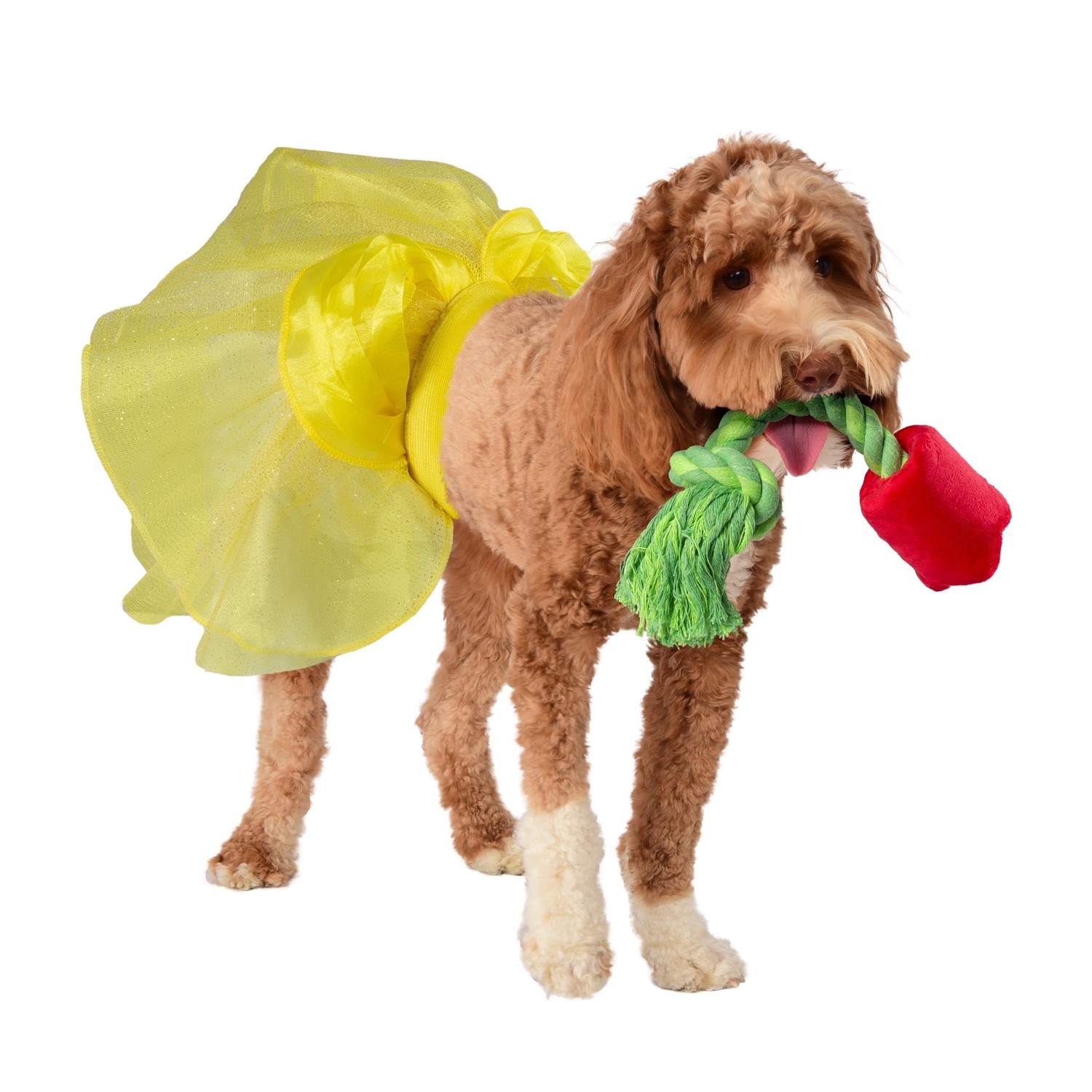 Disney Belle Tutu and Plush Dog Toy Bundle by Rubies