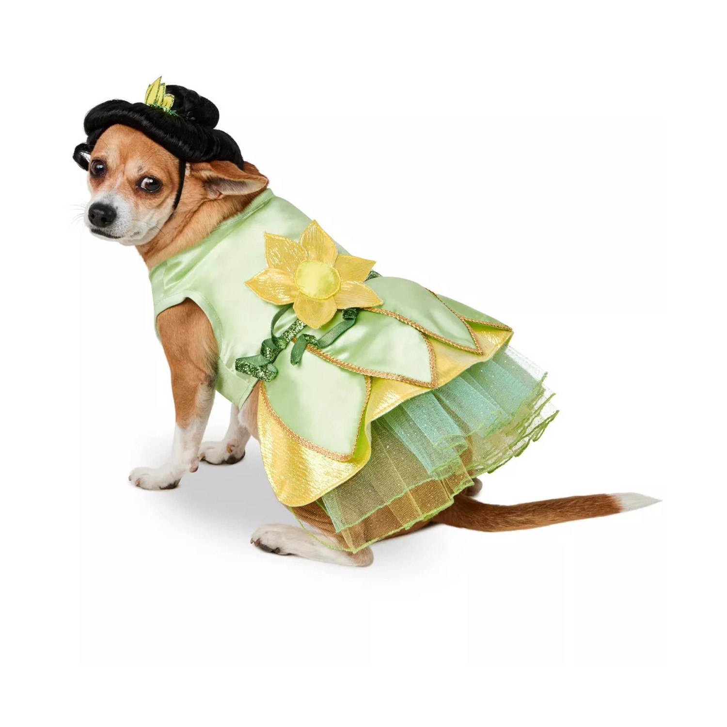 Disney Princess Tiana Dog Costume by Rubies