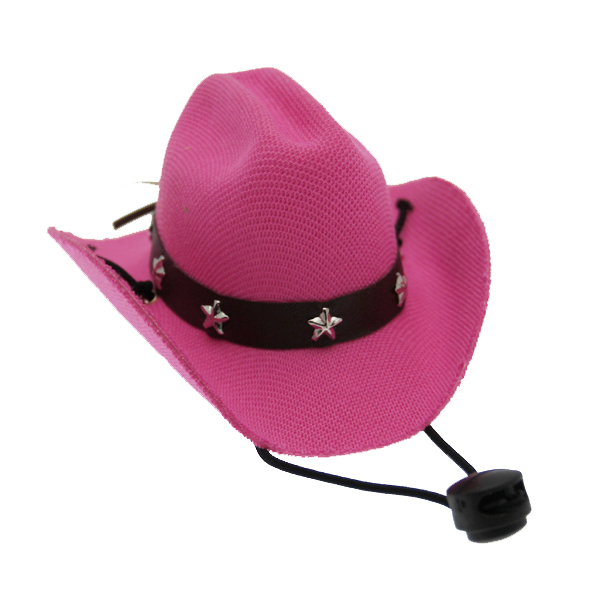 Puppe Love Dog Cowboy Hat - Pink Straw