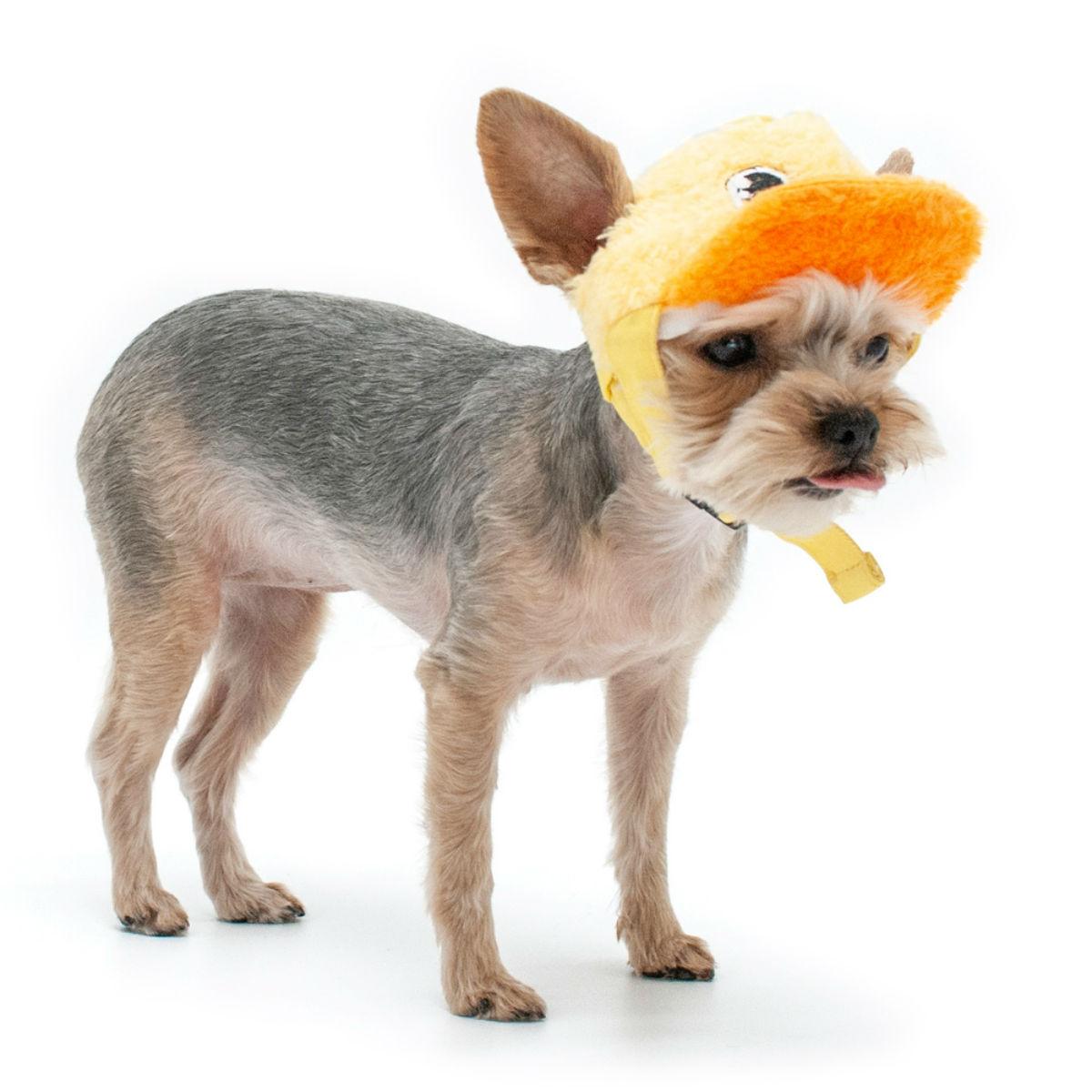 Duck Baseball Dog Hat by Dogo 