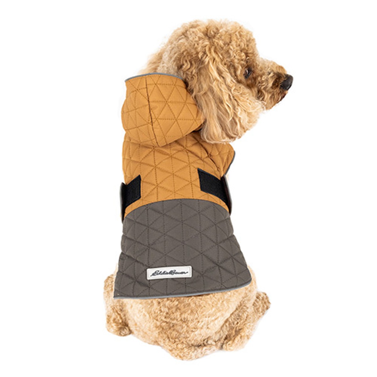 Eddie Bauer Richland Hooded Dog Jacket - Brown/Gray
