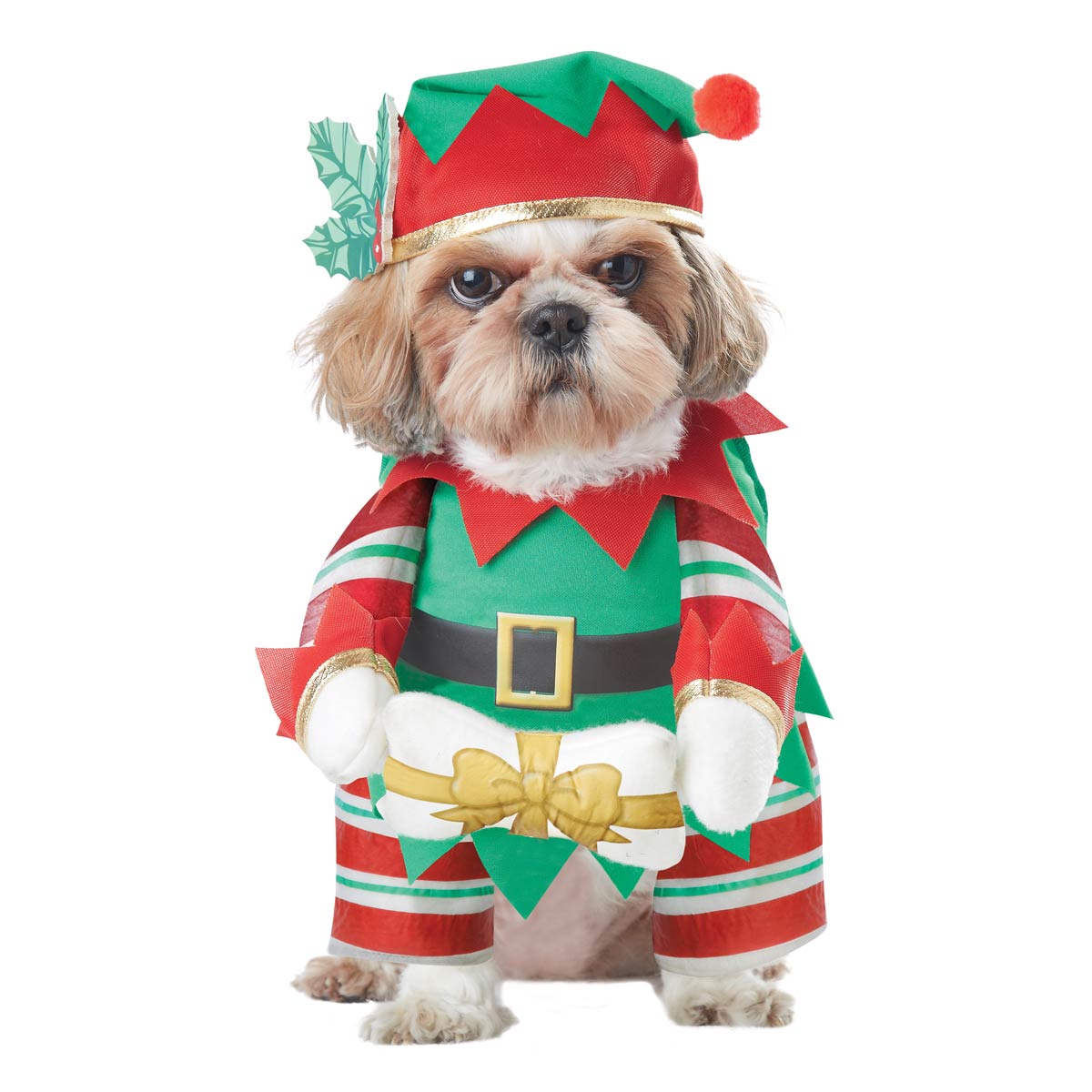 Elf Pup Dog Costume