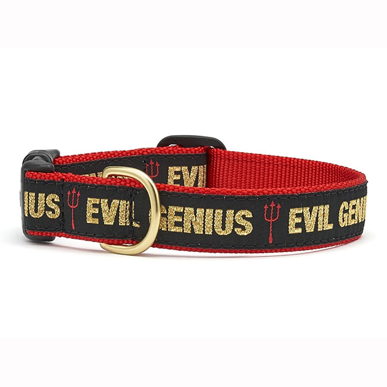 Evil Genius Dog Collar by Up Country