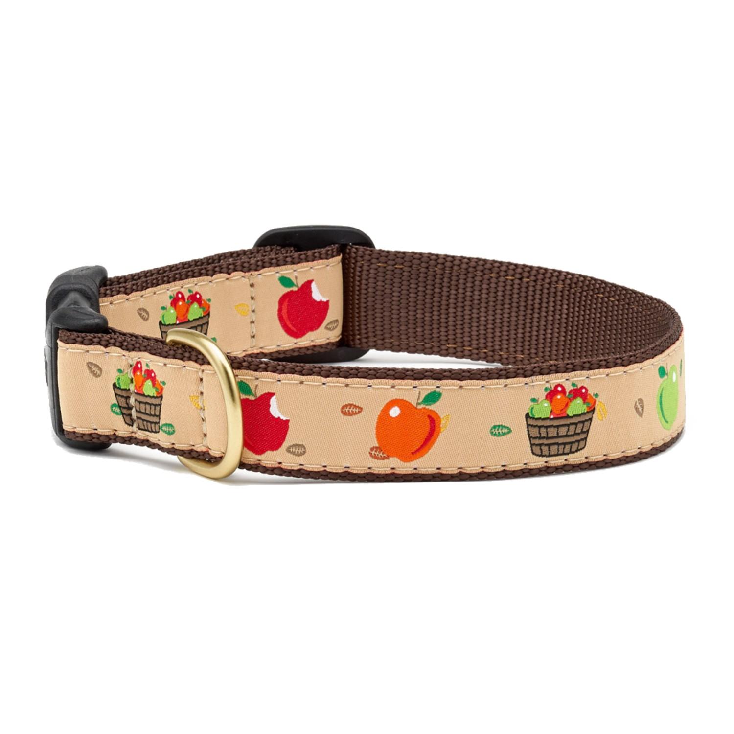 Apple of My Eye Dog Collar by Up Country