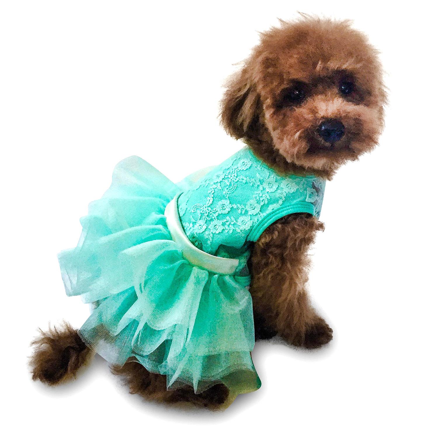 The Dog Squad Fufu Tutu Iridescent Lace Dog Dress - Seafoam