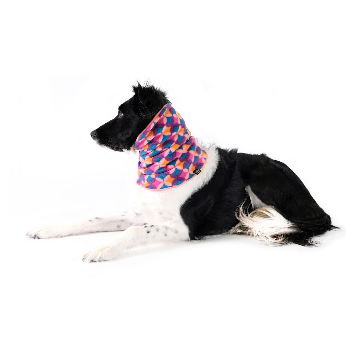 Gold Paw Dog Snood - Coral/Summer Mod