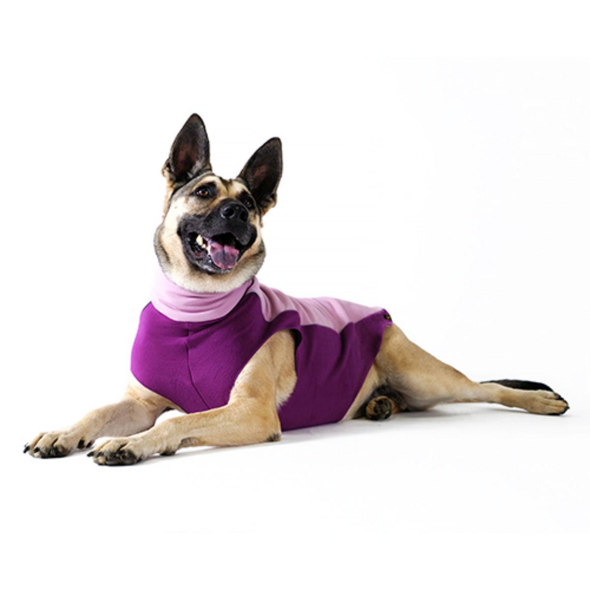 Gold Paw Portland Pullover Dog Jacket - Lilac and Eggplant