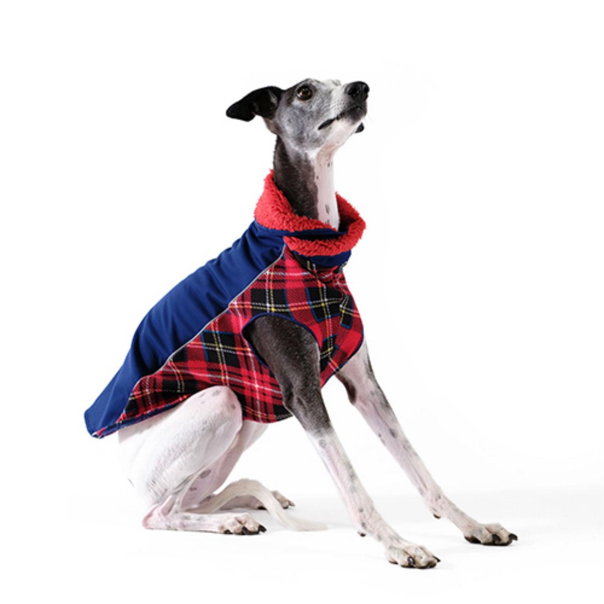 Gold Paw Portland Pullover Dog Jacket - Navy and Red Plaid