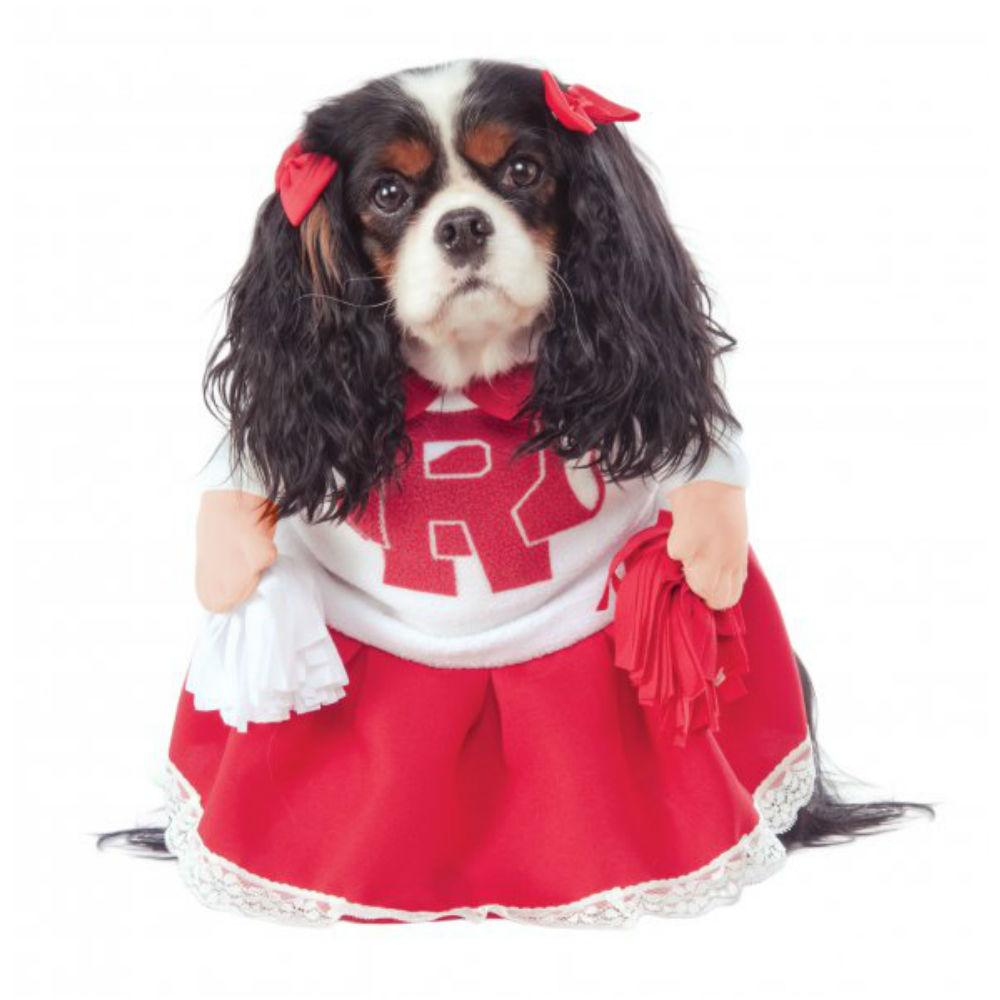 Grease Walking Rydell High Cheerleader Dog Costume by Rubies
