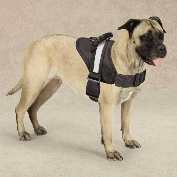 Guardian Gear Excursion Dog Harness