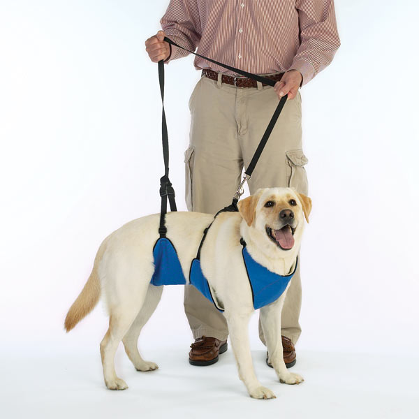 Guardian Gear Lift & Lead 4-in-1 Dog Harness