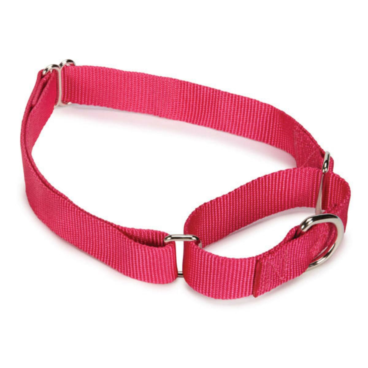 Guardian Gear Nylon Martingale Dog Collar - Raspberry