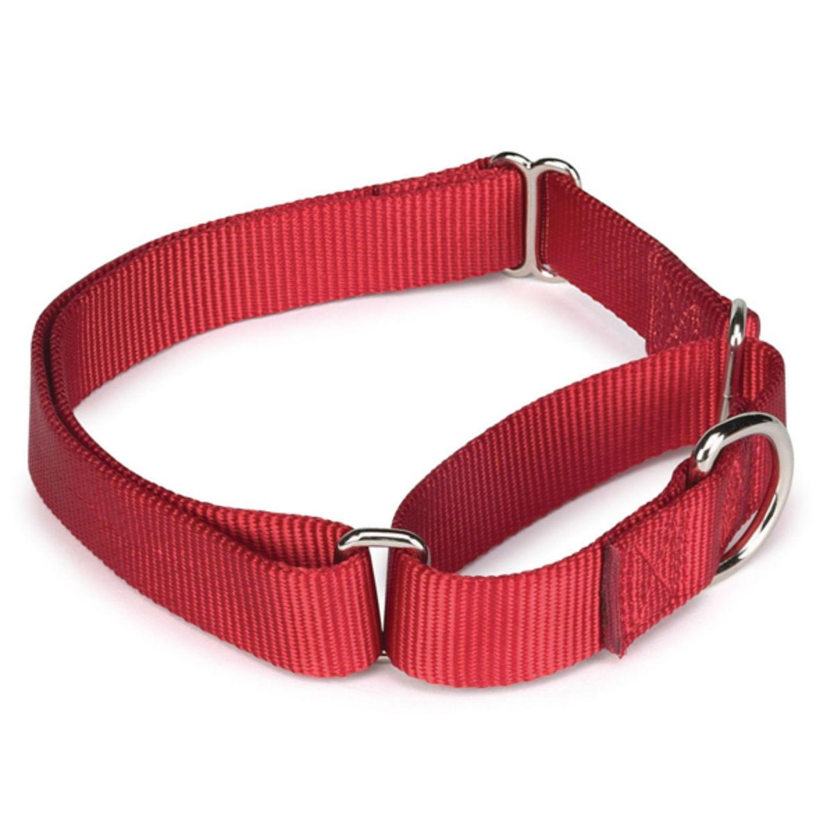 Guardian Gear Nylon Martingale Dog Collar - Red