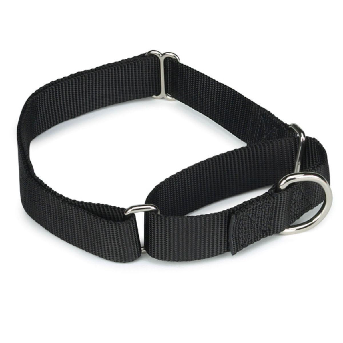 Guardian Gear Nylon Martingale Dog Collar - Black