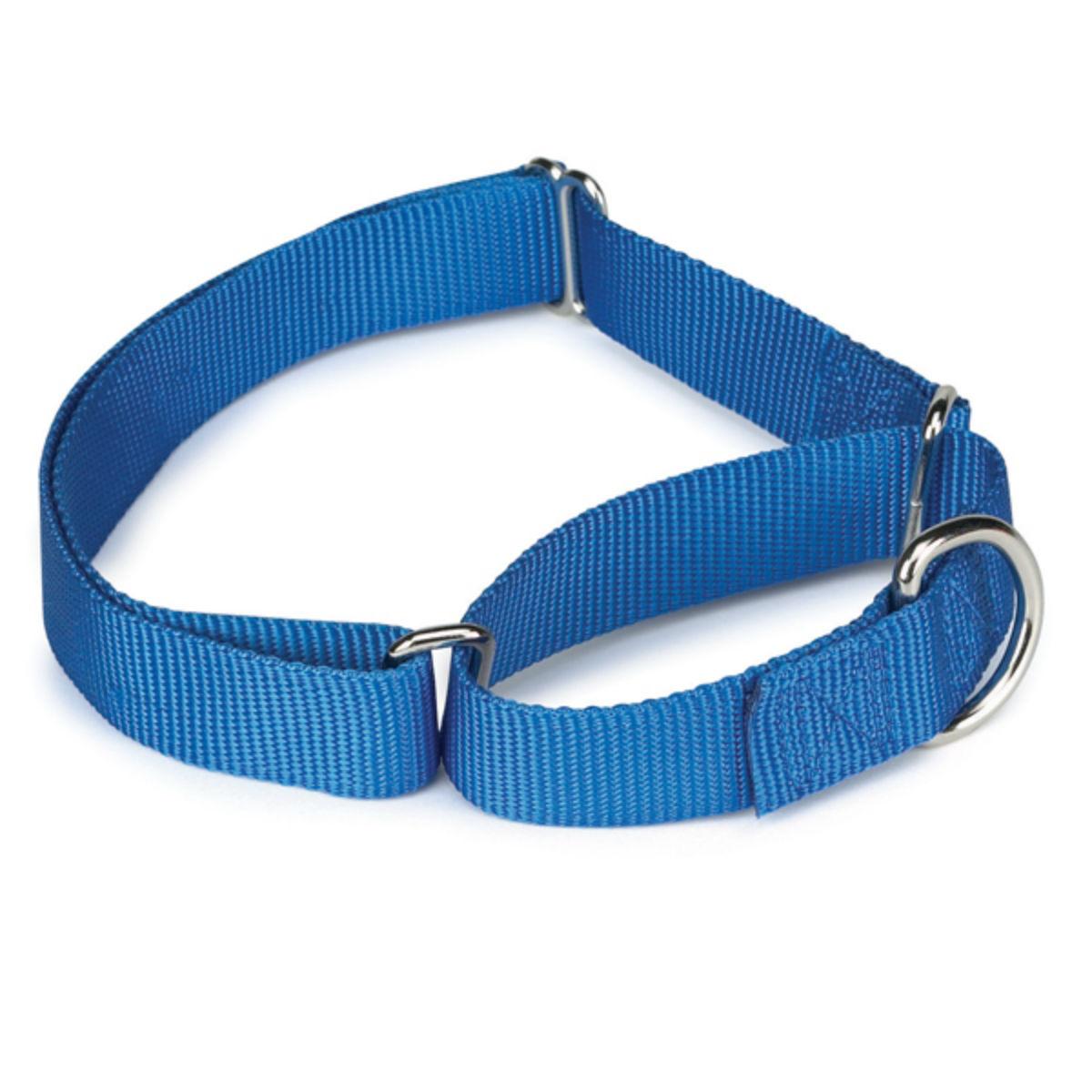 Guardian Gear Nylon Martingale Dog Collar - Blue